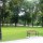 park na Wzgórzu Tumskim